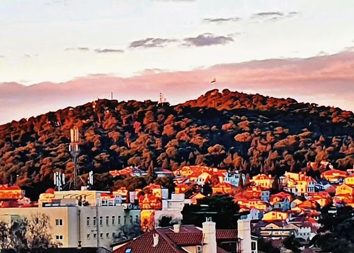 Live In * Σπλιτ